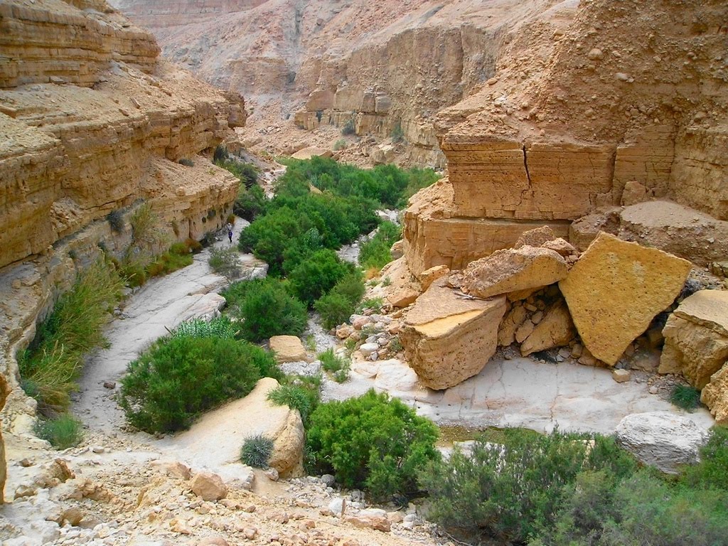 Israel Wadis Dry Revier Bed