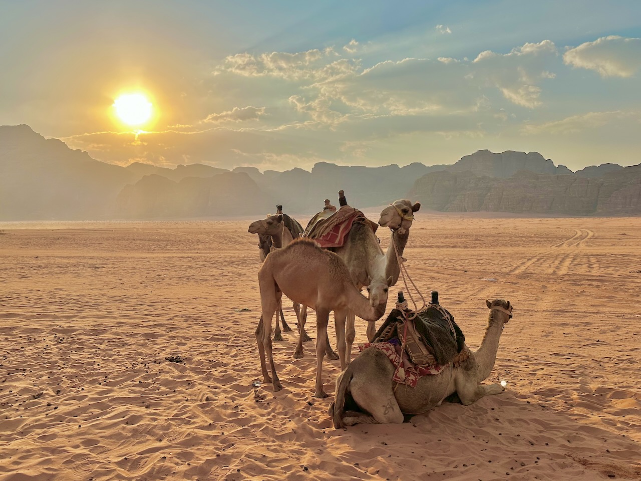 Wadi Rum Nov 2025 Egypt-Jordan-Israel Tour John DeLancey