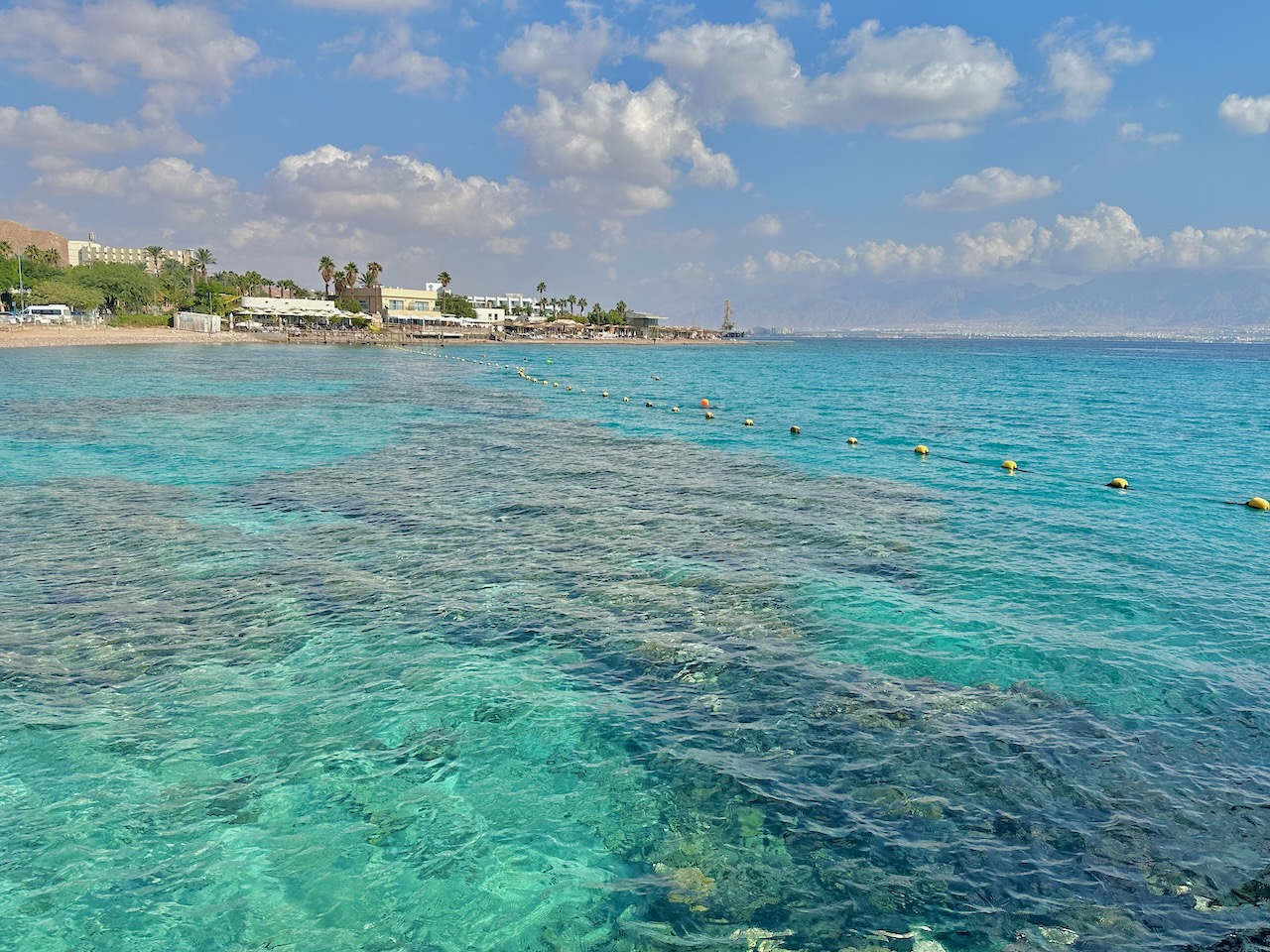 Red Sea Nov Egypt-Jordan-Isrsael Tour John DeLancey