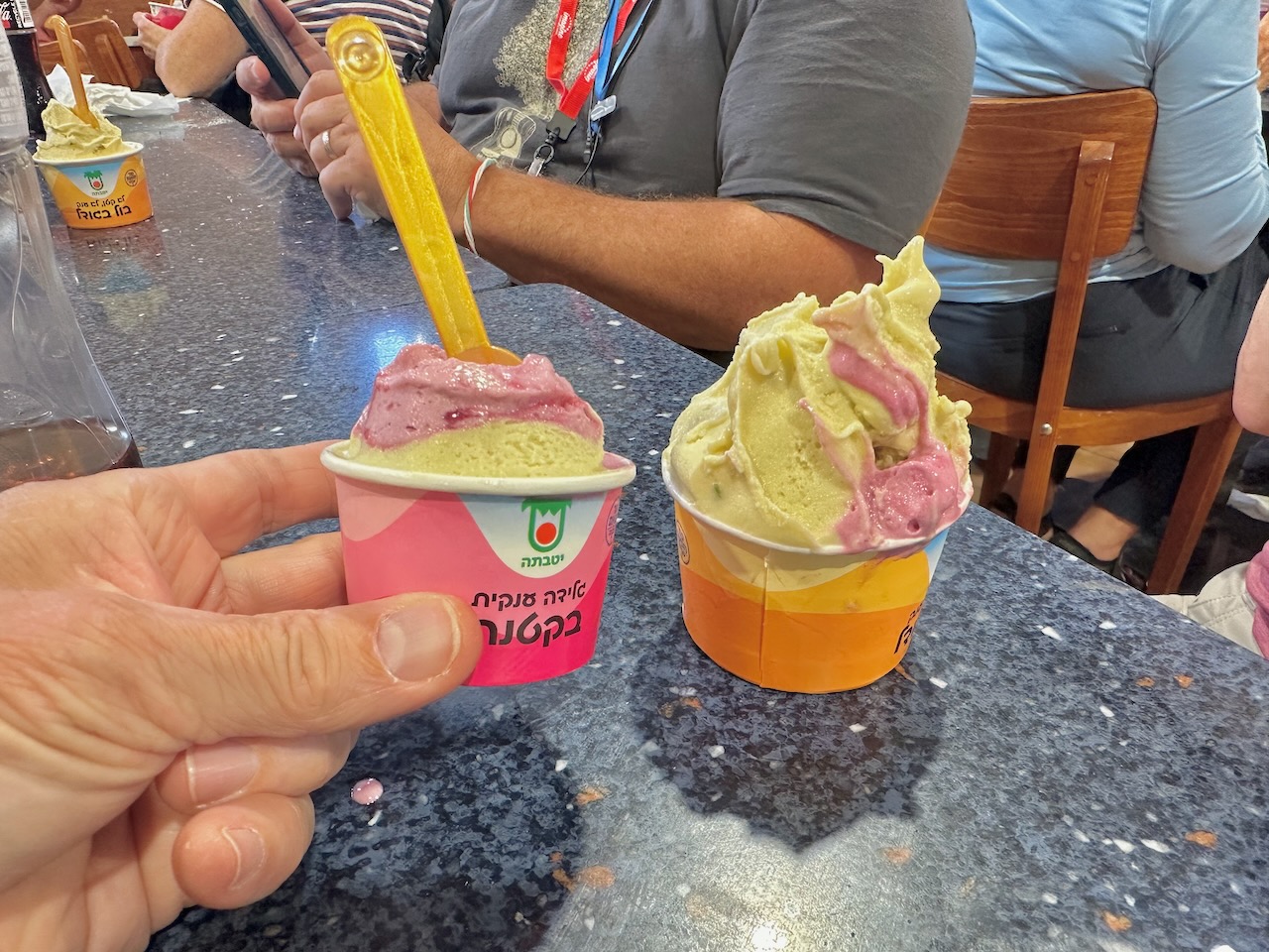 Yotvata Nov Egypt-Jordan-Isrsael Tour John DeLancey