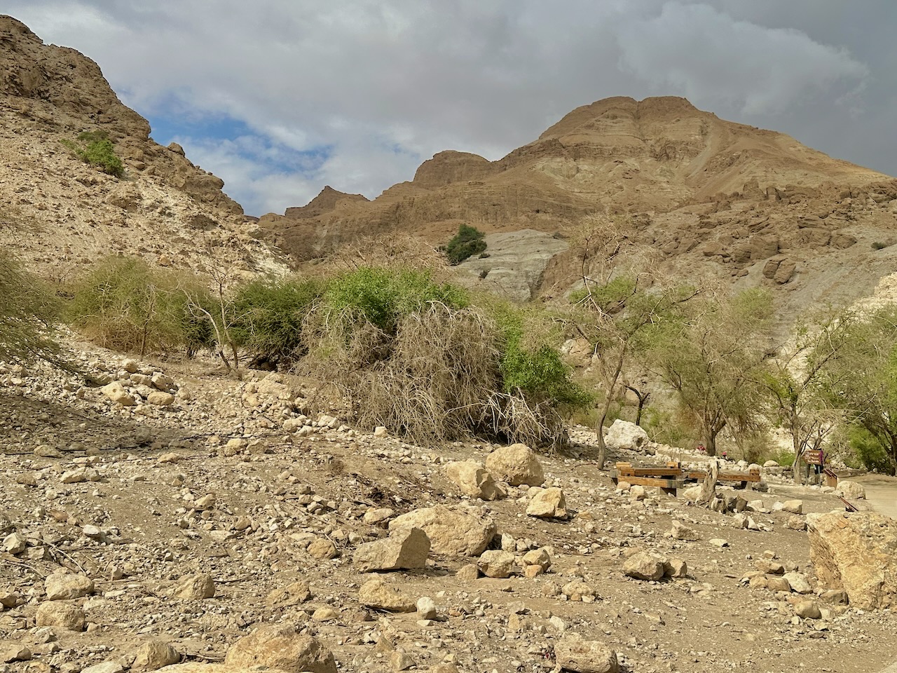 Ein Gedi Nov 2025 Egypt-Jordan-Israel Tour John DeLancey