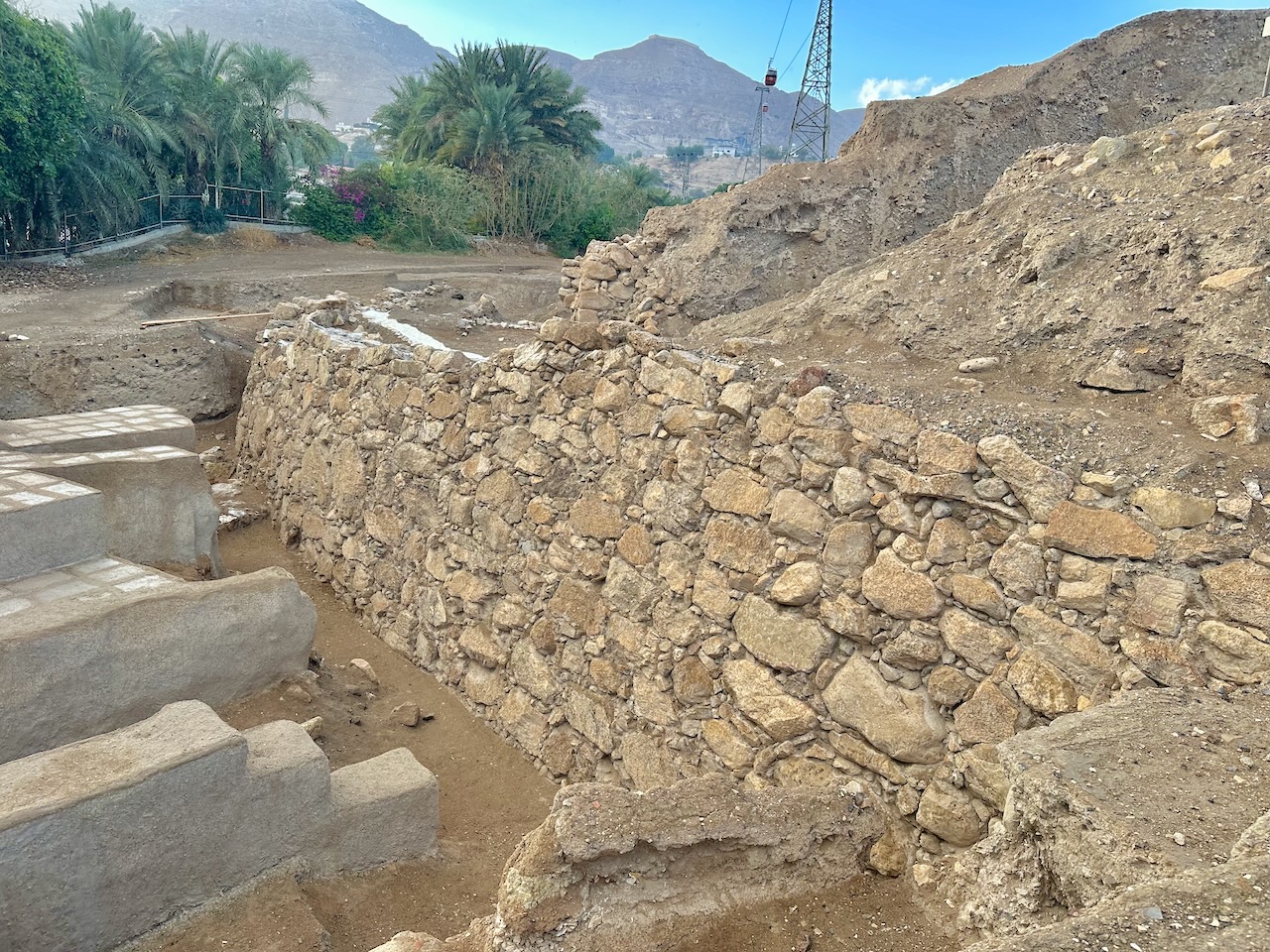 Jericho Nov 2025 Egypt-Jordan-Israel Tour John DeLancey