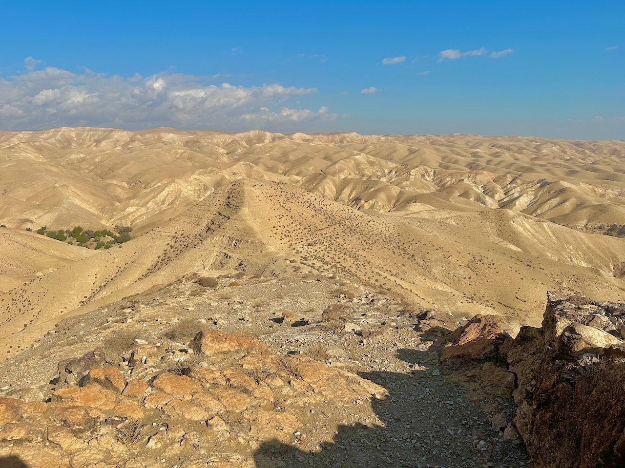 Wadi Qelt Judean Desert Nov 2025 Egypt-Jordan-Israel Tour John DeLancey