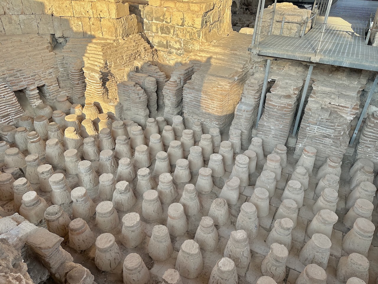 Beth Shean Nov 2025 Egypt-Jordan-Israel Tour John DeLancey