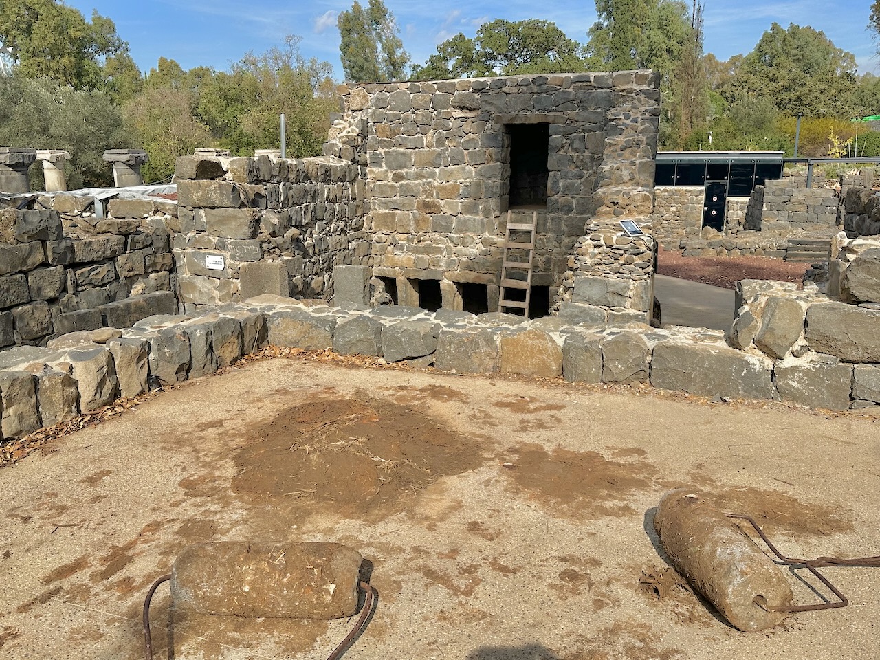 Katzrin Nov 2025 Egypt-Jordan-Israel Tour John DeLancey