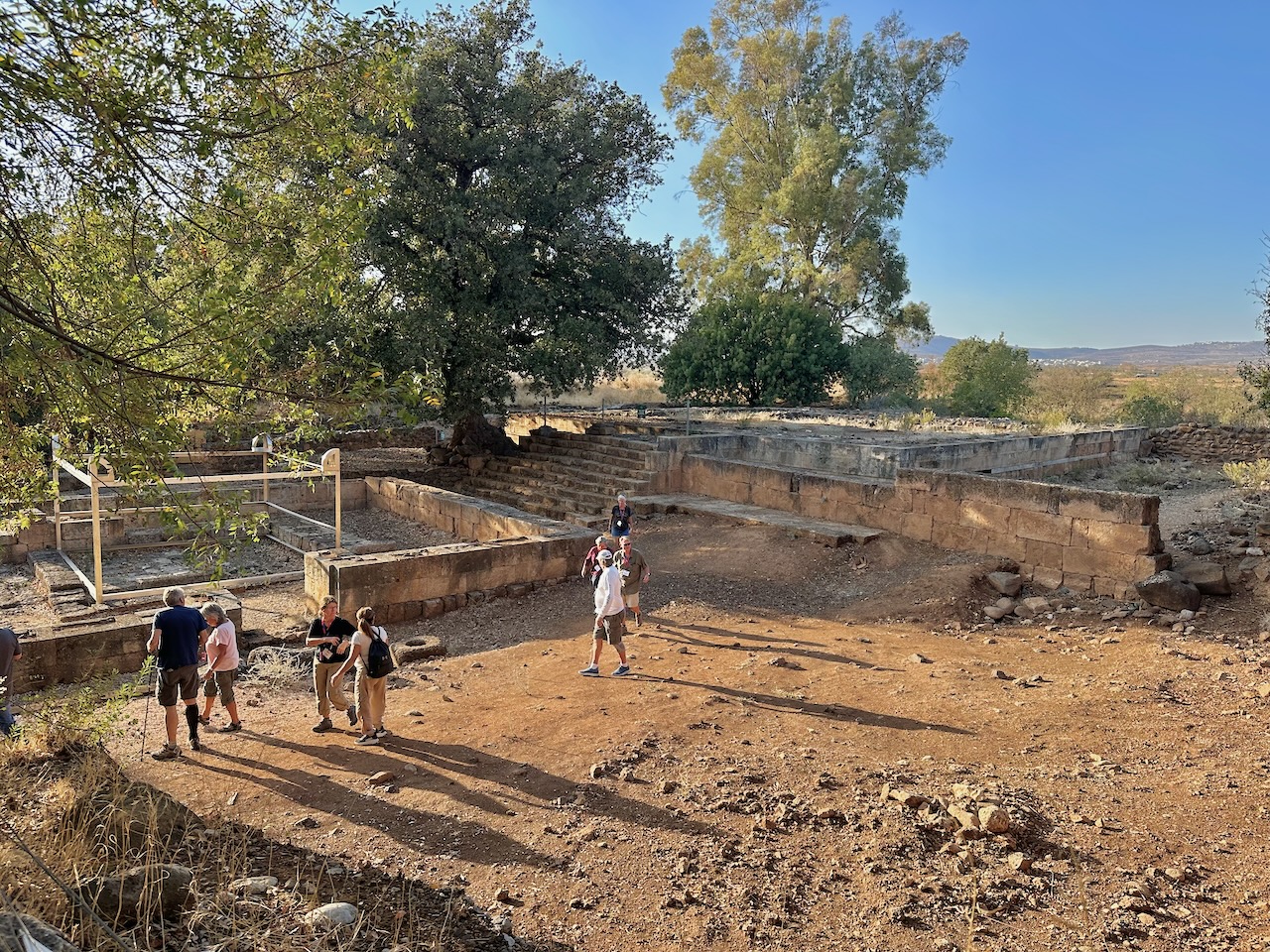 Tel Dan Nov 2025 Egypt-Jordan-Israel Tour John DeLancey