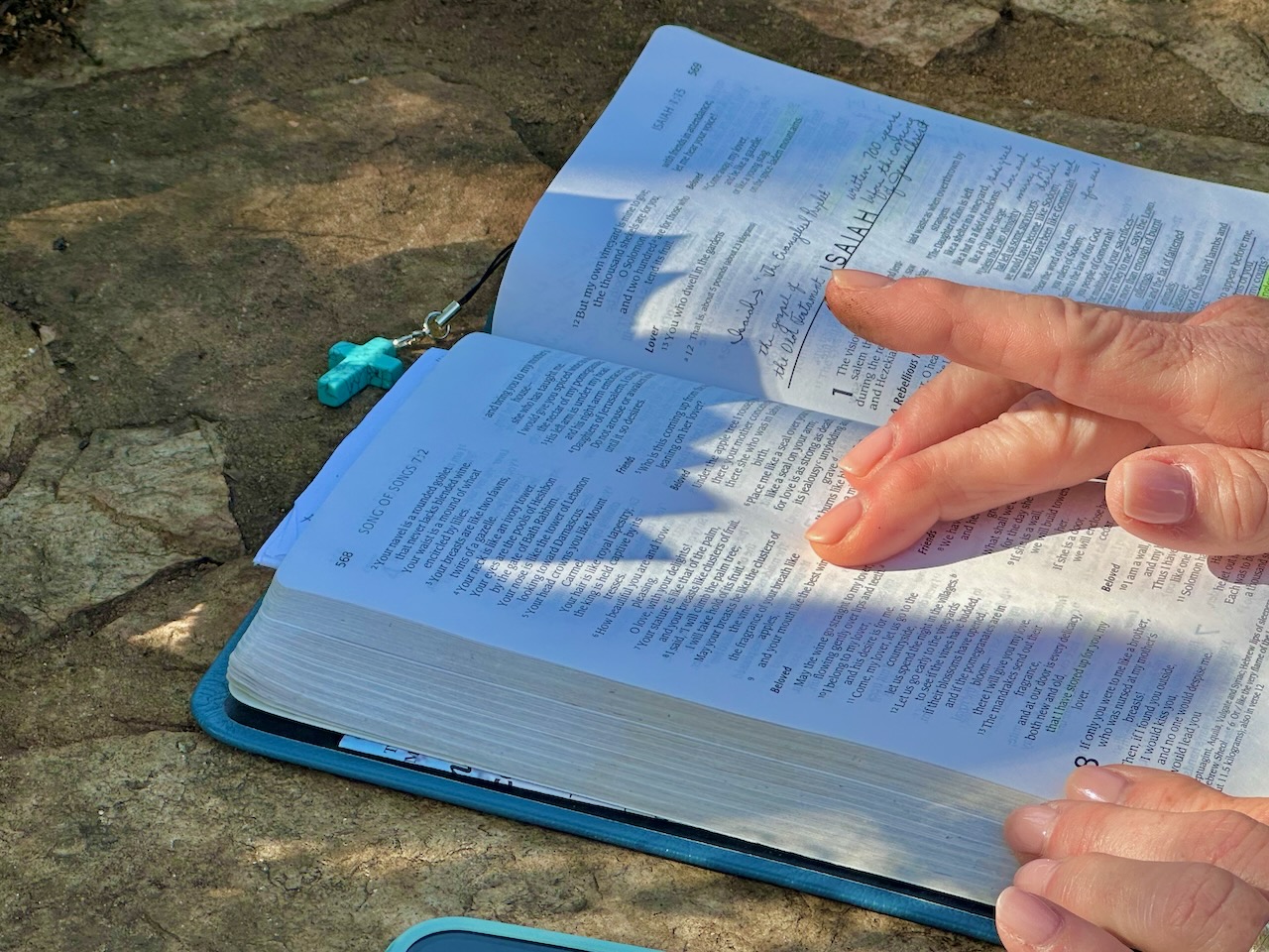 Smudglng of Bible Nov 2025 Egypt-Jordan-Israel Tour John DeLancey