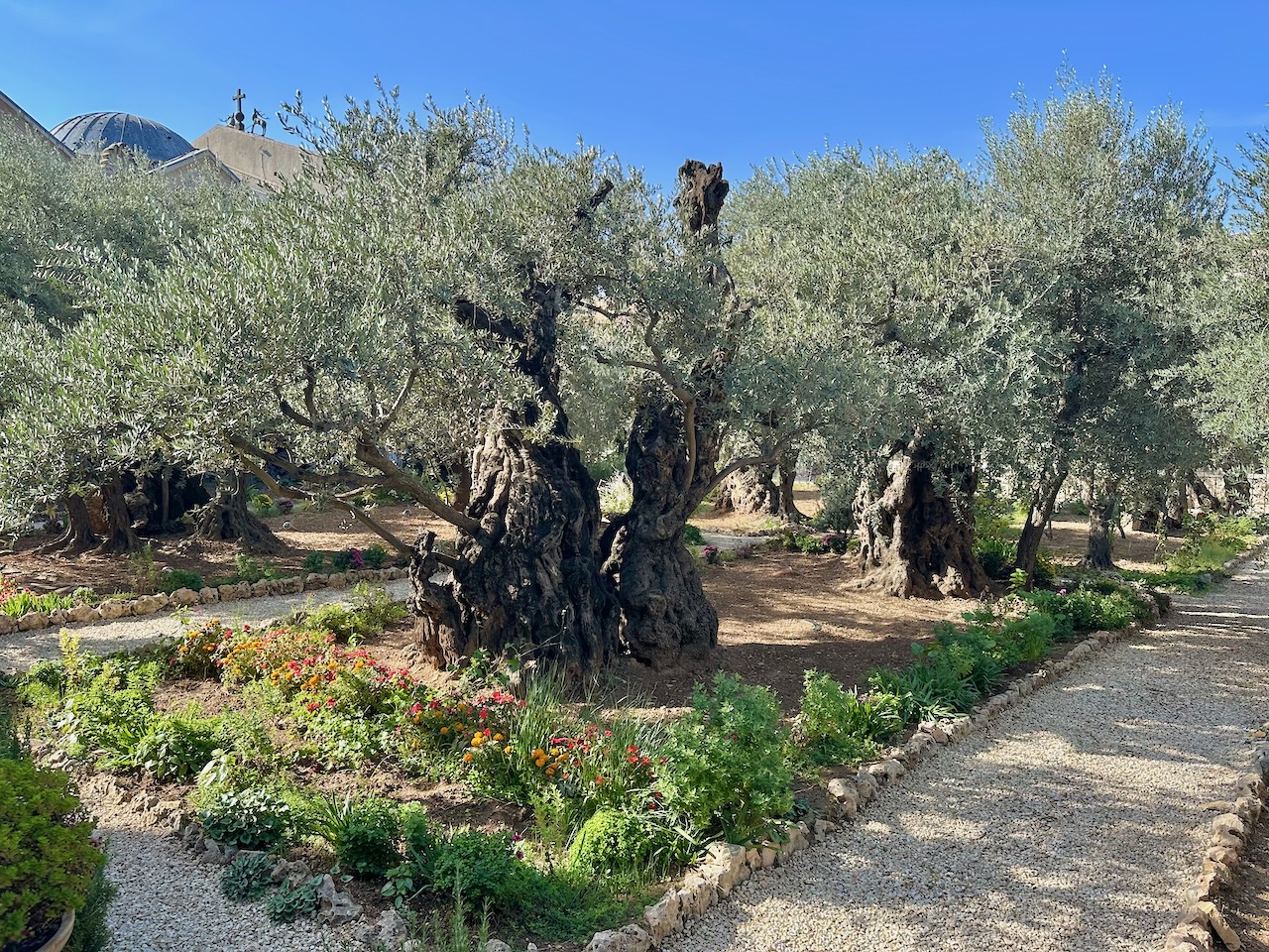 Jerusalem Mt. of Olives Gethsemane Nov 2025 Egypt-Jordan-Israel Tour John DeLancey