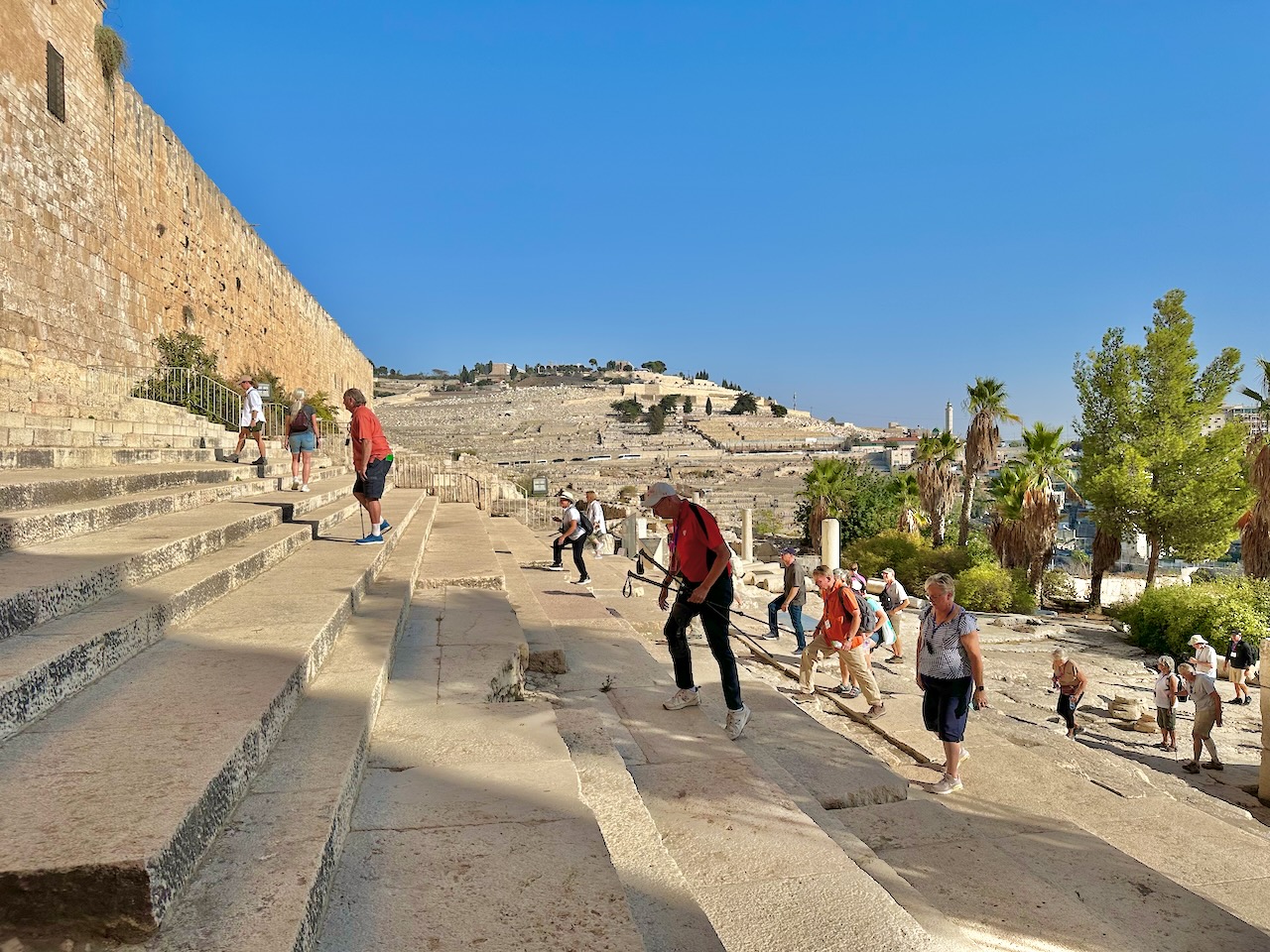 Southern Steps Nov 2025 Egypt-Jordan-Israel Tour John DeLancey