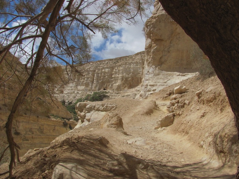 climbing the trail at wadi zin