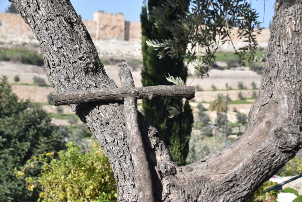 Jerusalem Gethsemane January 2019 Israel Tour with John Delancey of BIMT
