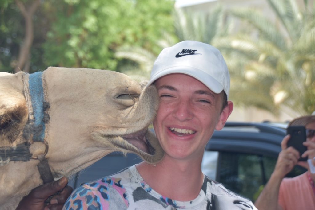Camel kiss June 2019 Israel Tour Group with John DeLancey