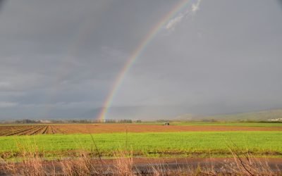 January 2020 Israel Tour Summary: Day 8