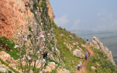 Devotions from Israel – Mark 3