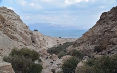 February 2020 Israel Tour Summary (with Egypt): Day 6