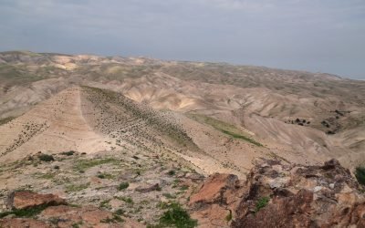 February 2020 Israel Tour Summary (with Egypt): Day 7