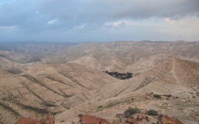 January 2022 Israel Tour Summary: Day 10