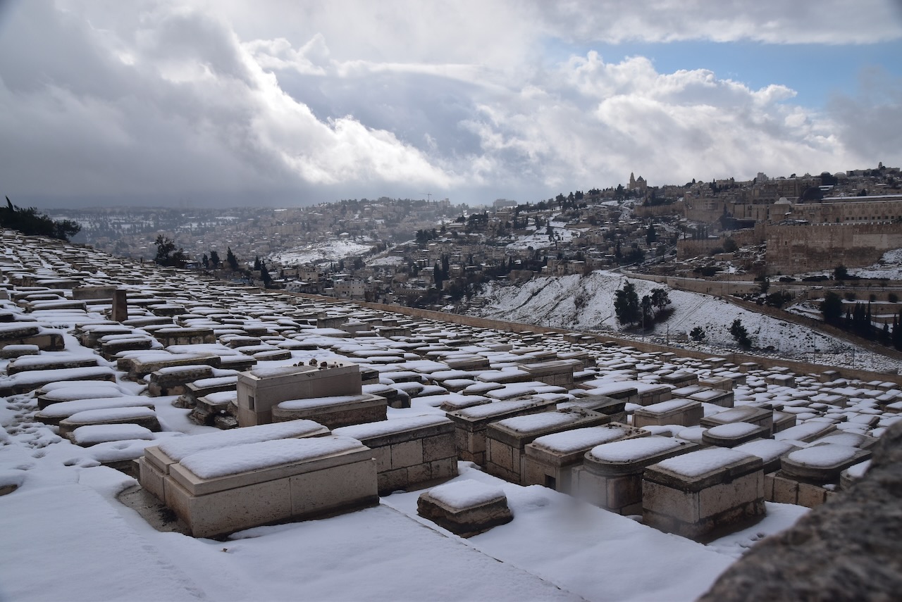 Mt. of Olives BIMT Jan 2022 Israel Tour