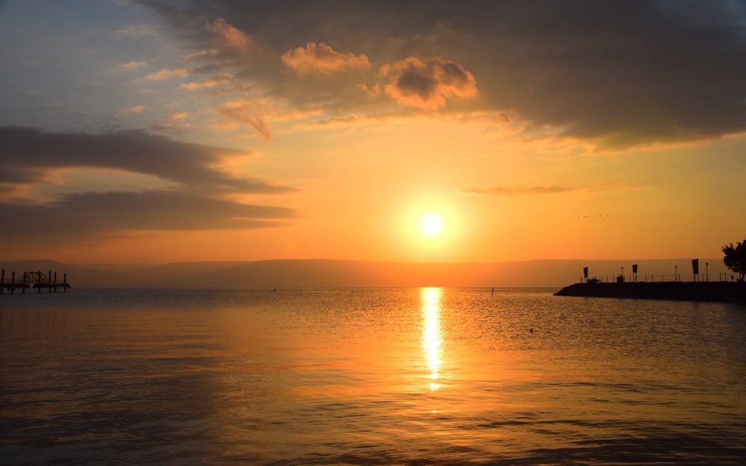 January 2022 Israel Tour Summary: Day 7