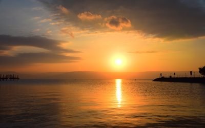 January 2022 Israel Tour Summary: Day 7