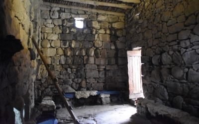 January 2022 Israel Tour Summary: Day 8