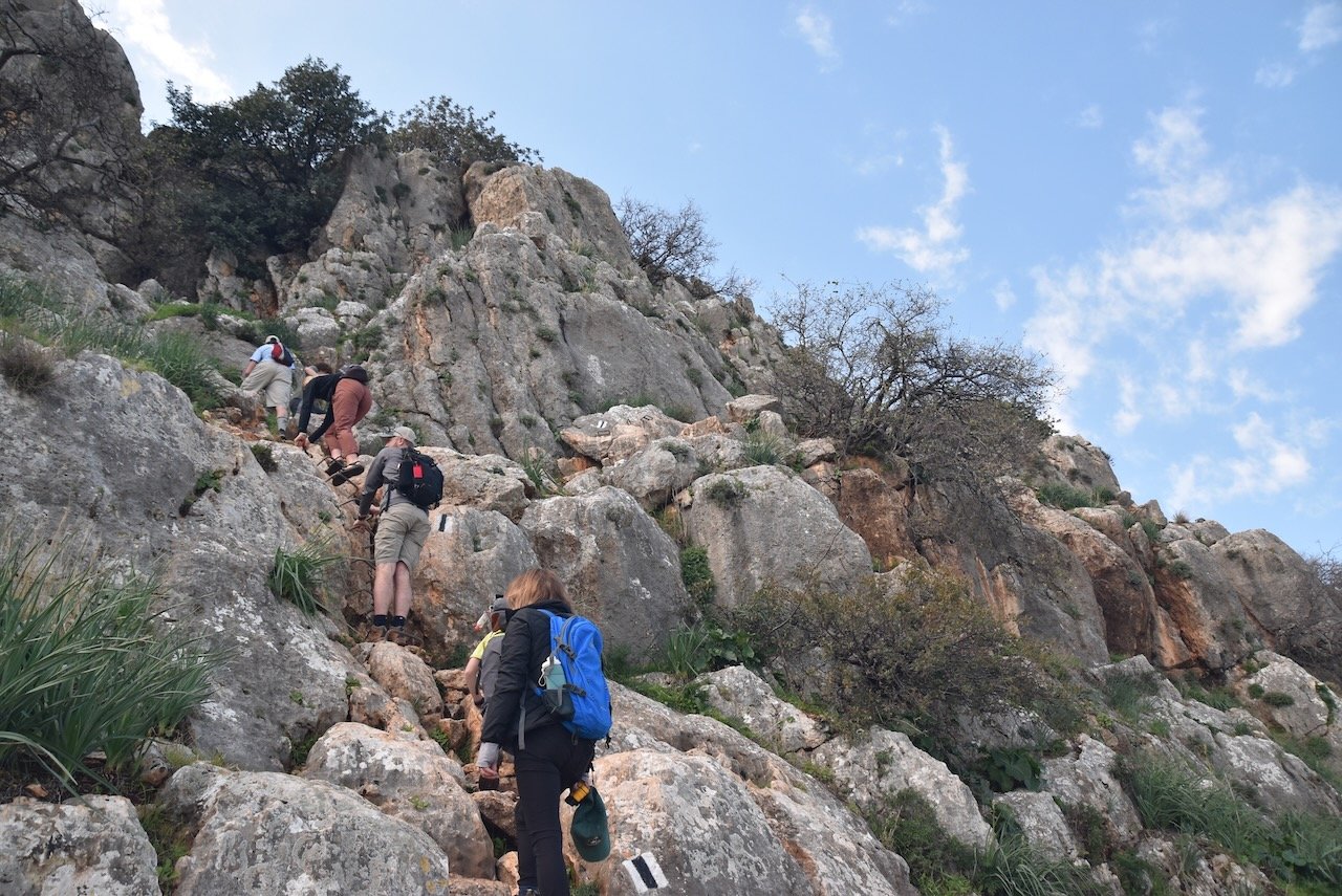 Arbel BIMT Jan 2022 Israel Tour