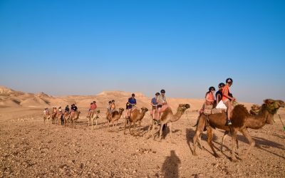 June 2022 Israel Tour – Day 4 Summary