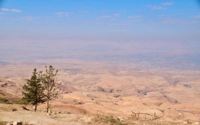 Nov 2022 Israel Tour (with Jordan option): Day 11 Summary