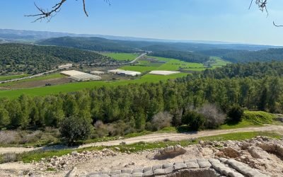 January 2023 Israel Tour: Day 3 Summary