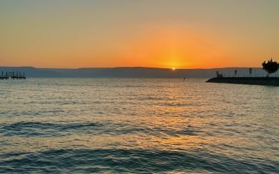 January 2023 Israel Tour: Day 7 Summary