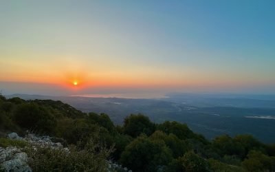 January 2023 Israel Tour: Day 9 Summary