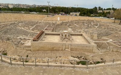 January 2023 Israel Tour: Day 13 Summary