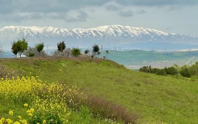 March 2023 Israel & Jordan Tour – Day 4 Summary