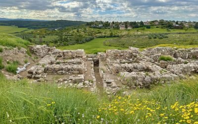 March 2023 Israel & Jordan Tour – Day 13 Summary