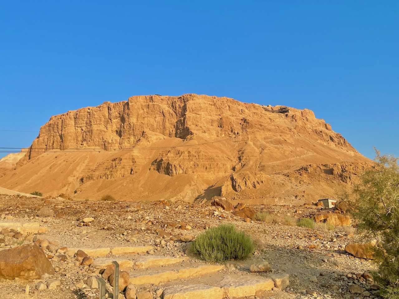 Masada Aug 23 Israel Tour John DeLancey
