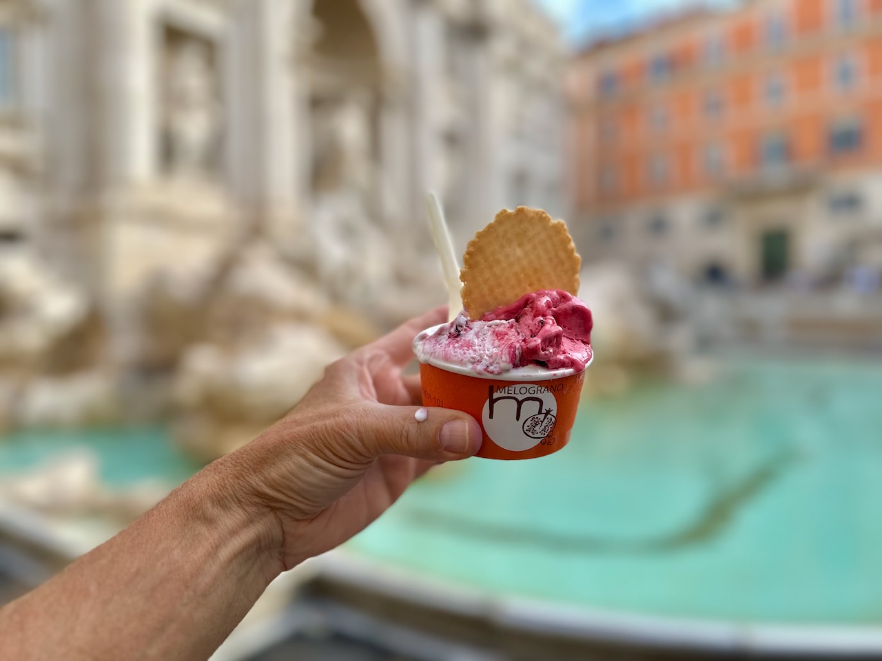 Trevi Fountain Italy Tour 2023 John DeLancey