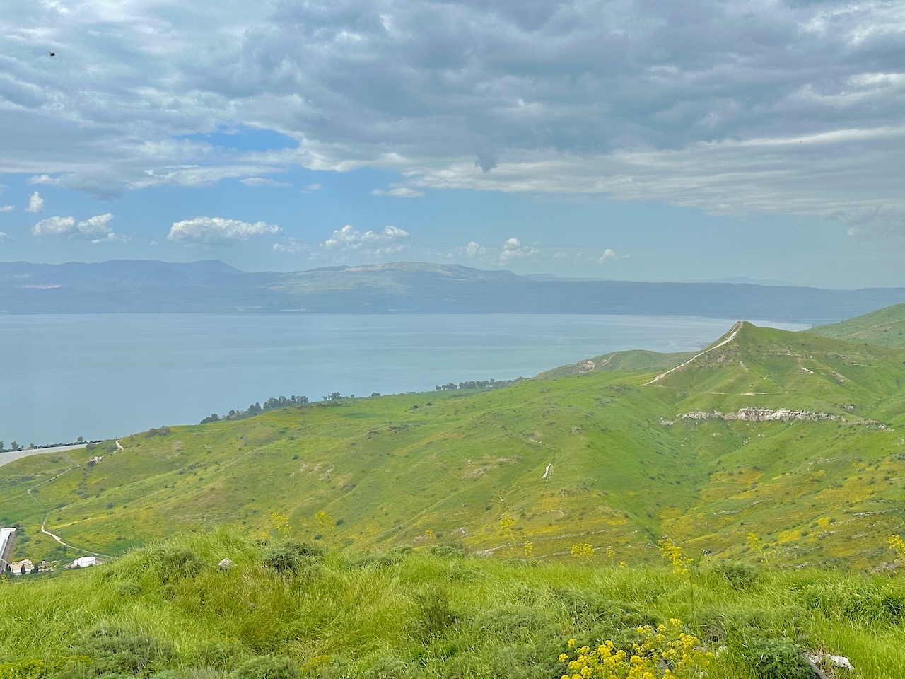 Hippos March 2024 Israel Tour John DeLancey