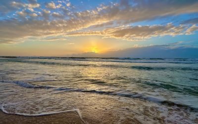 May 2024 Israel Tour (& Greece Option) – Summary of Days 1 & 2