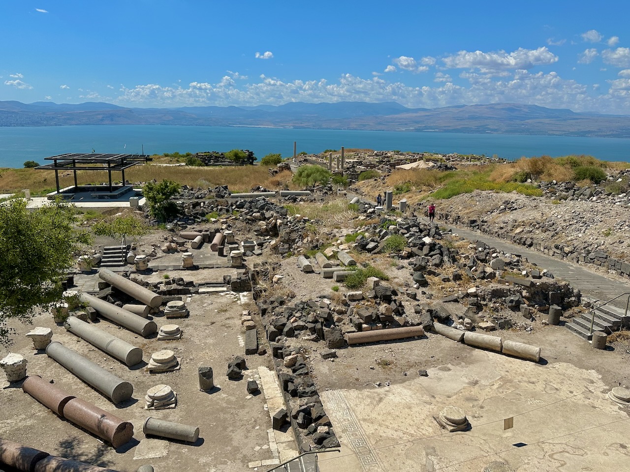 Hippos May 2024 Israel Tour John DeLancey