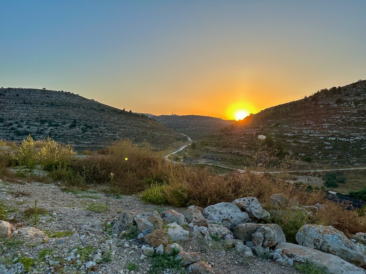 Shiloh Dig 2024 Israel Tour John DeLancey