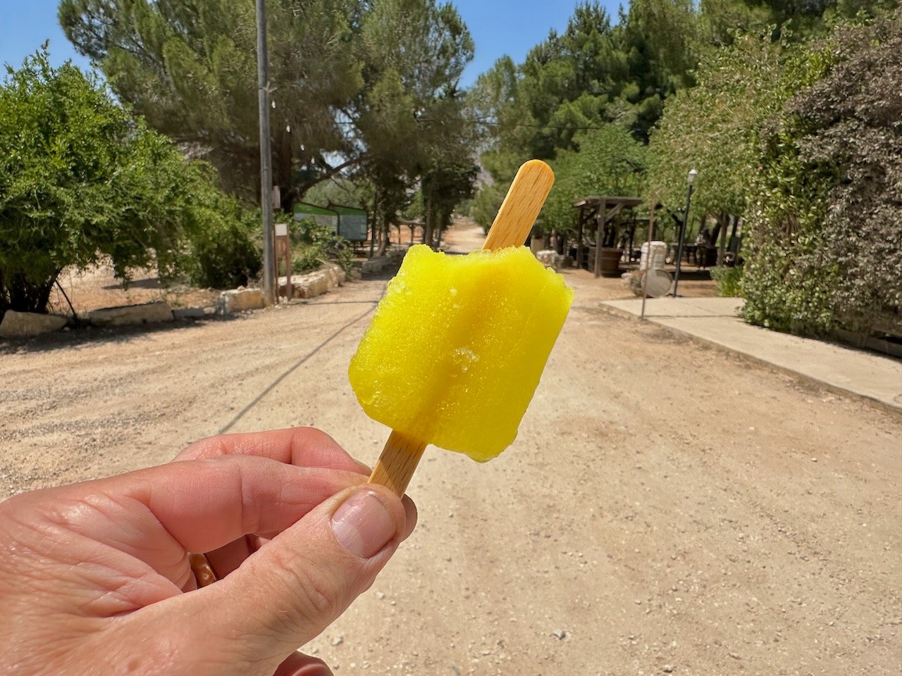 Shiloh Dig 2024 Israel Tour John DeLancey