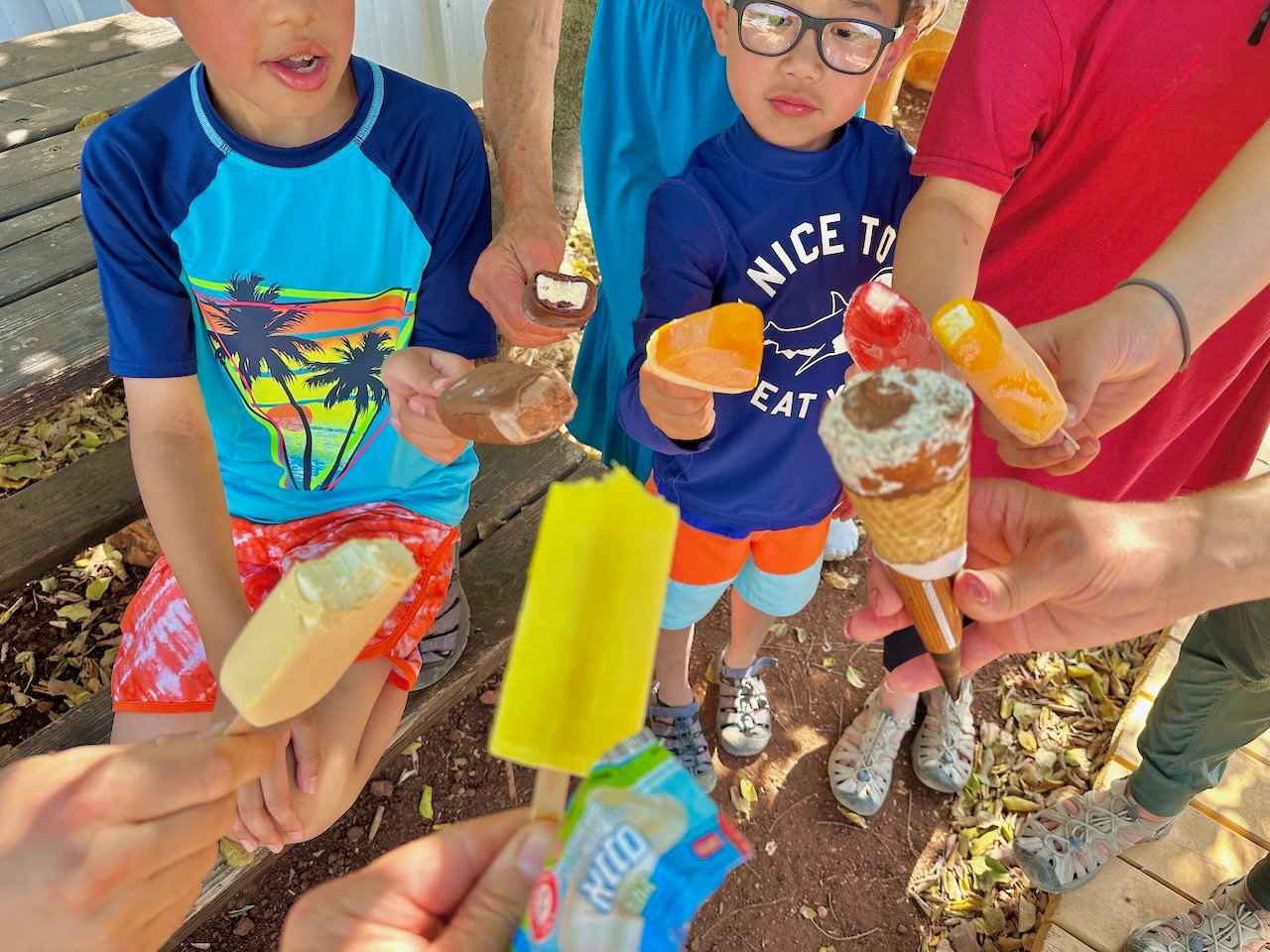 Popsicles and ice cream Arbel  June 2024 Israel Tour John DeLancey