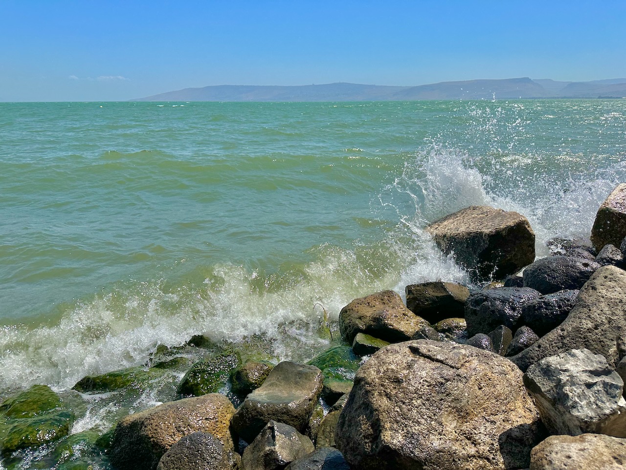 Capernaum June 2024 Israel Tour John DeLancey