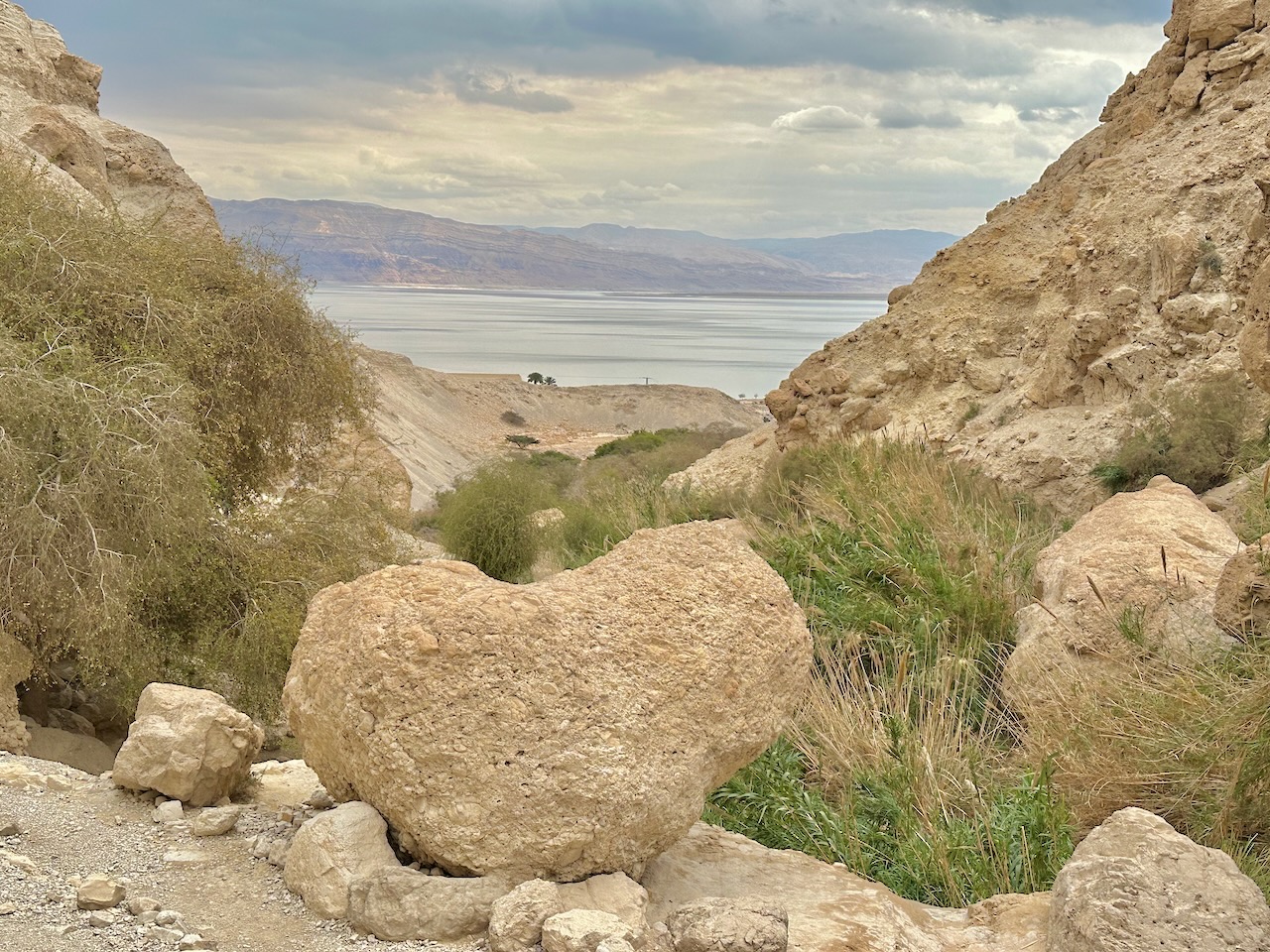 Ein Gedi Feb-March 2025 Israel Tour John DeLancey
