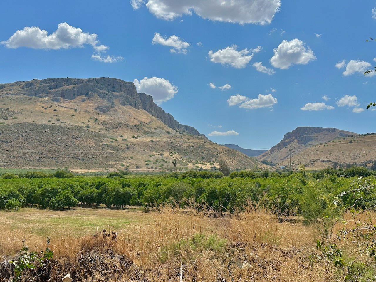 Arbel April-May 2025 Israel Tour, with Jordan John DeLancey Arbel April-May 2025 Israel Tour, with Jordan John DeLancey