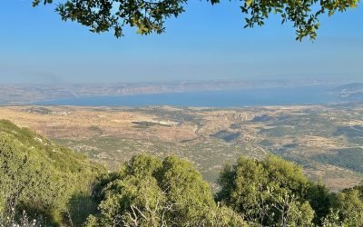 April-May 2025 Israel Tour (with Jordan option) – Summary of Day 5