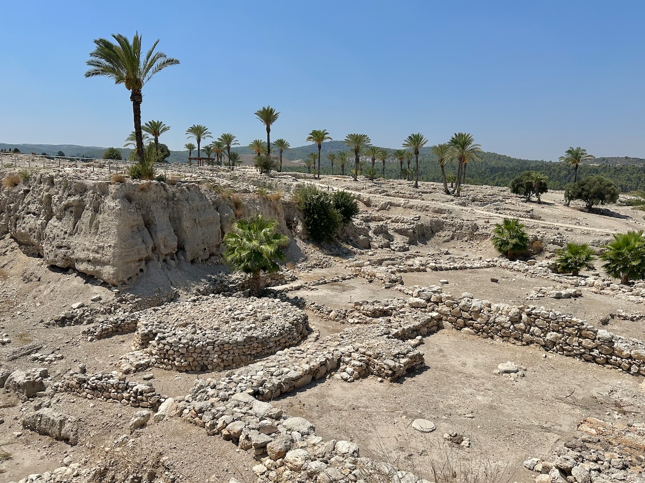 Megiddo Sept 2025 Israel Tour John DeLancey