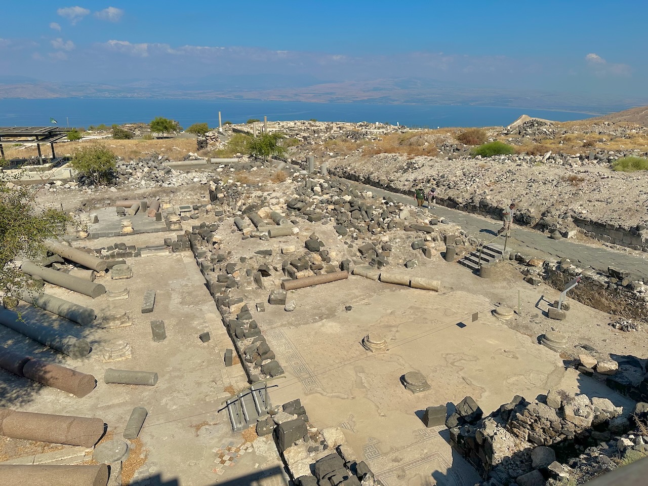 Hippos Sept 2025 Israel Tour John DeLancey