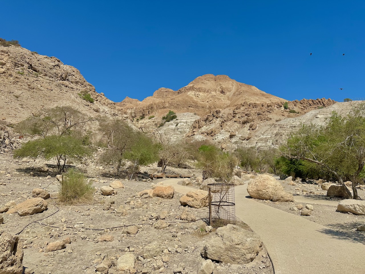 Ein Gedi Sept 2025 Israel-Jordan trip John DeLancey