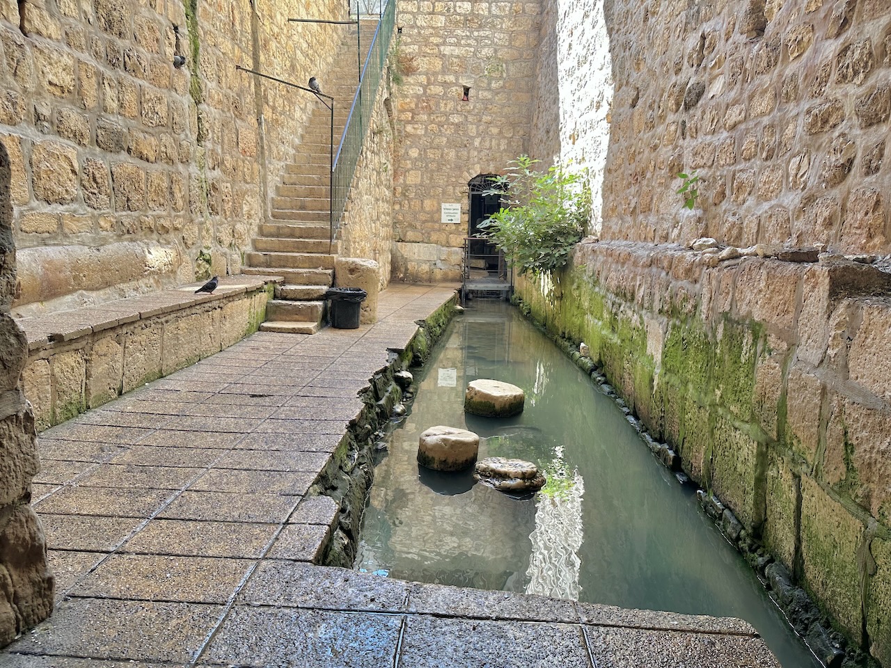 City of David Pool of Siloam Sept 2025 Israel - Jordan Tour John DeLancey